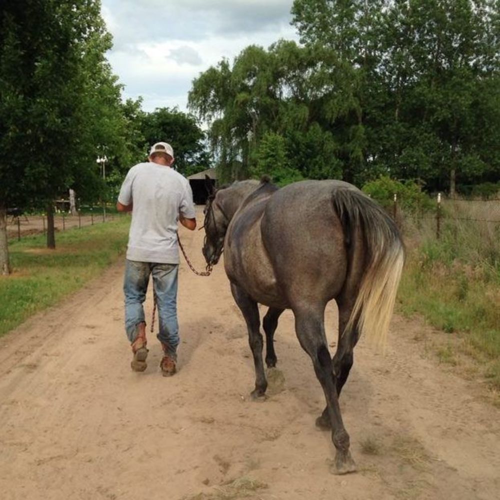 Meet your Posher, Blake
